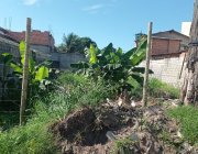 Terreno em Enseada de Jacaraípe - Rua Dionísio Linhares