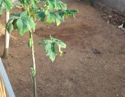 Casa residencial no Centro da Serra