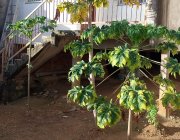 Casa residencial no Centro da Serra