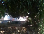 Terreno de 300m² no Centro da Serra